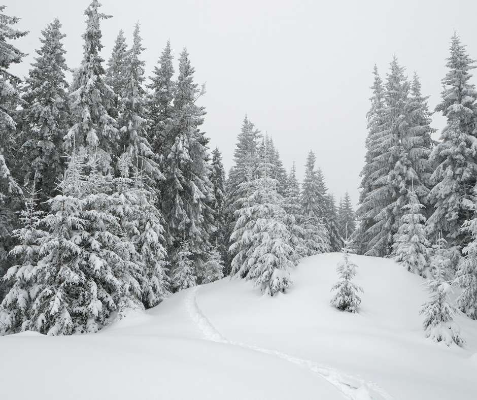 Tips for Moving During the Winter in the Midwest